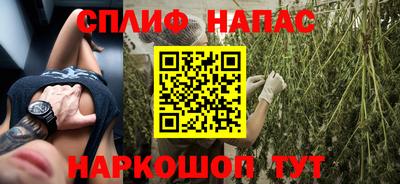 мяу мяу мука Будённовск
