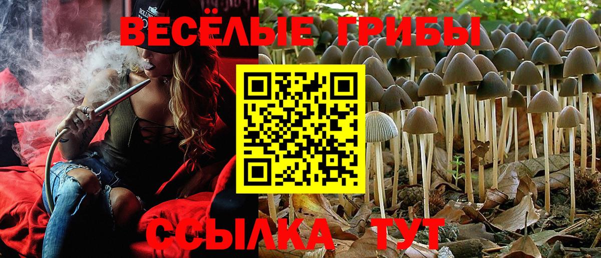 Псилоцибиновые грибы Psilocybine cubensis  Псилоцибиновые грибы GOLDEN TEACHER  Лобня  Вход с VPN 